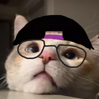 cat with drawn on glasses and hat 1